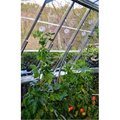 Palram Palram - Canopia HG1024 Trellising Kit Pro for all Palram - Canopia Greenhouses HG1024